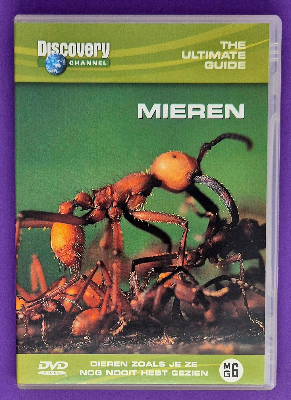 Discovery Channel - The Ultimate Guide: Mieren DVD