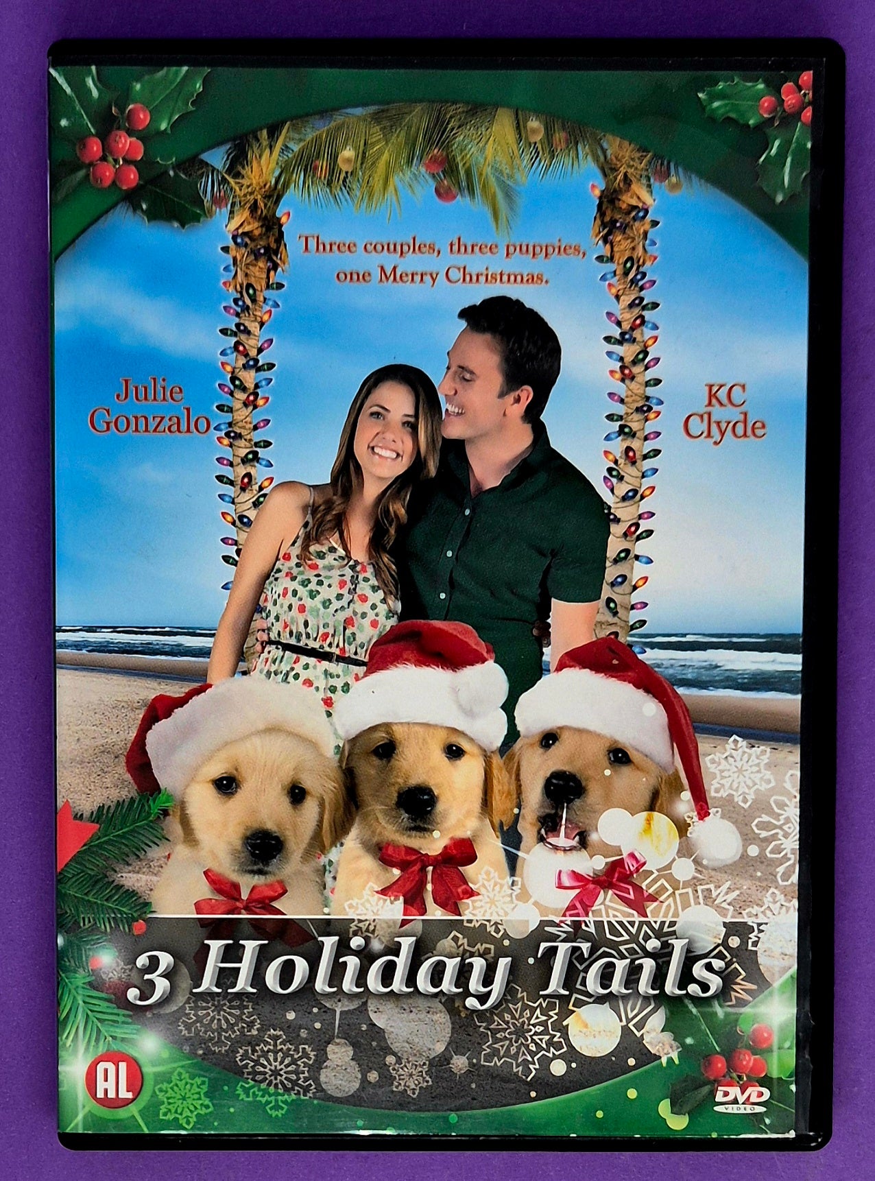 3 Holiday Tails DVD