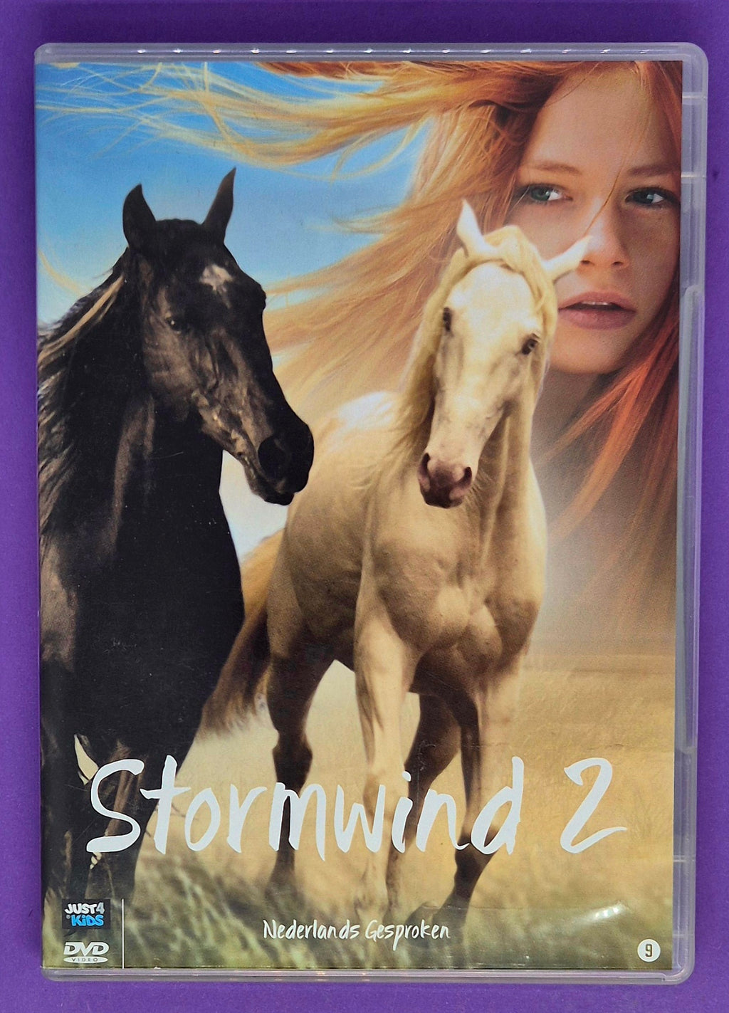 Stormwind 2 DVD