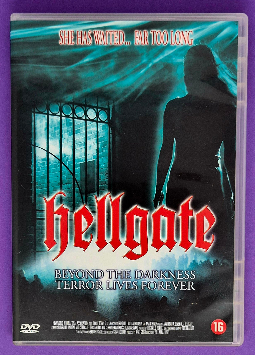 Hellgate DVD