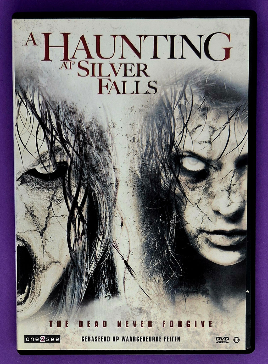 A Haunting At Silver Falls DVD