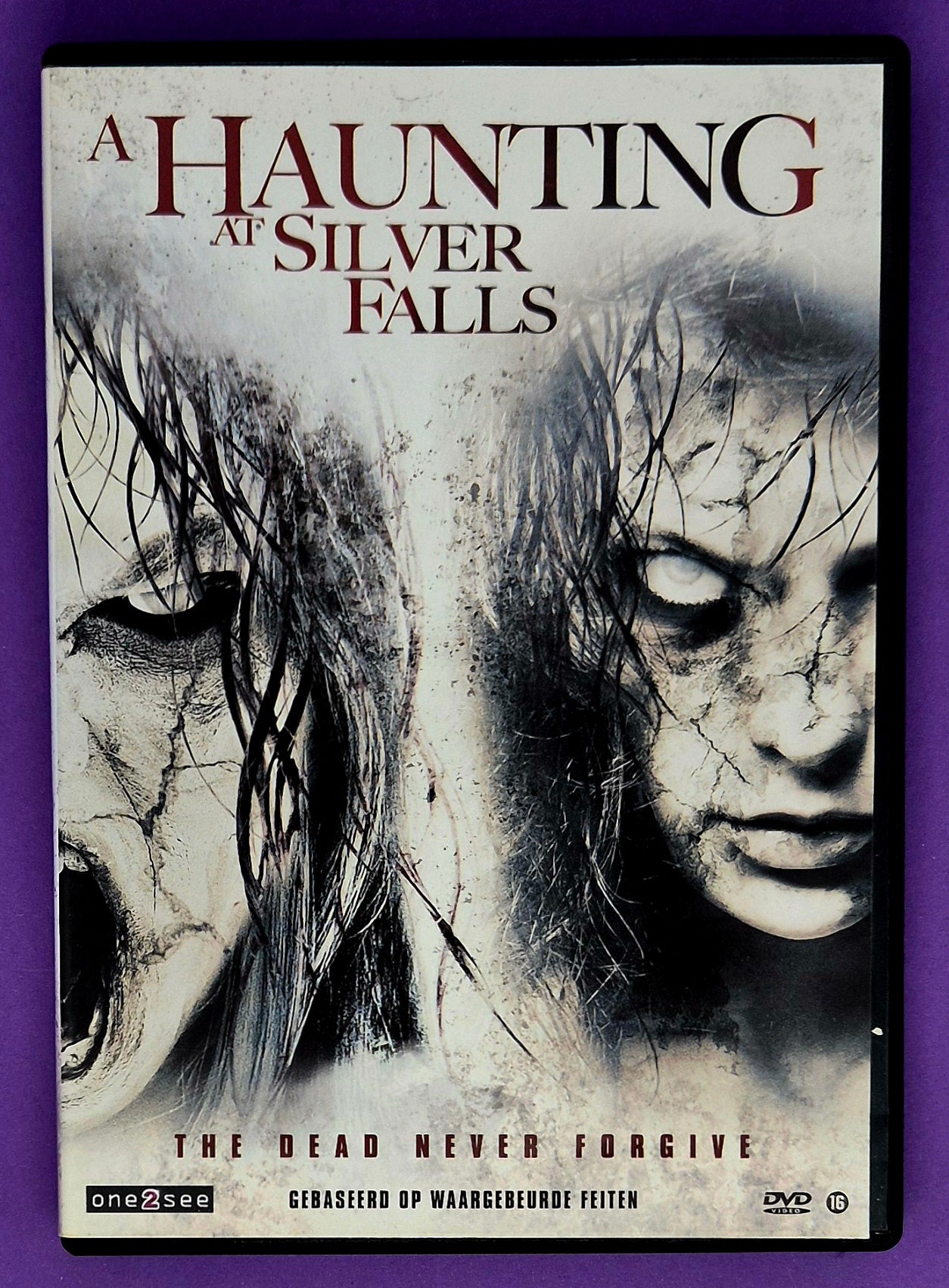 A Haunting At Silver Falls DVD