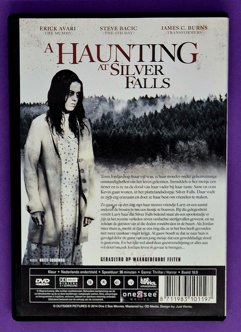 A Haunting At Silver Falls DVD