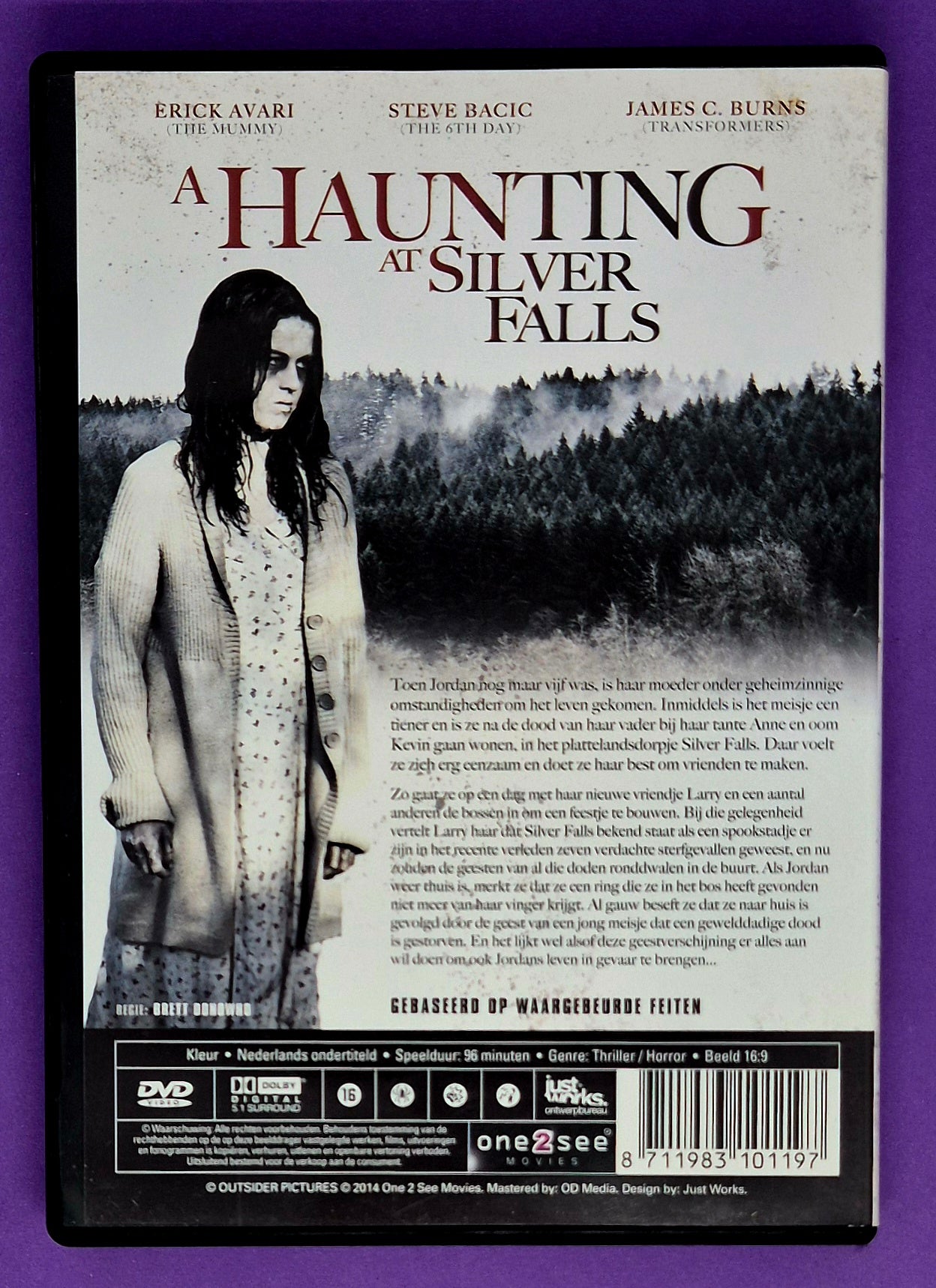 A Haunting At Silver Falls DVD