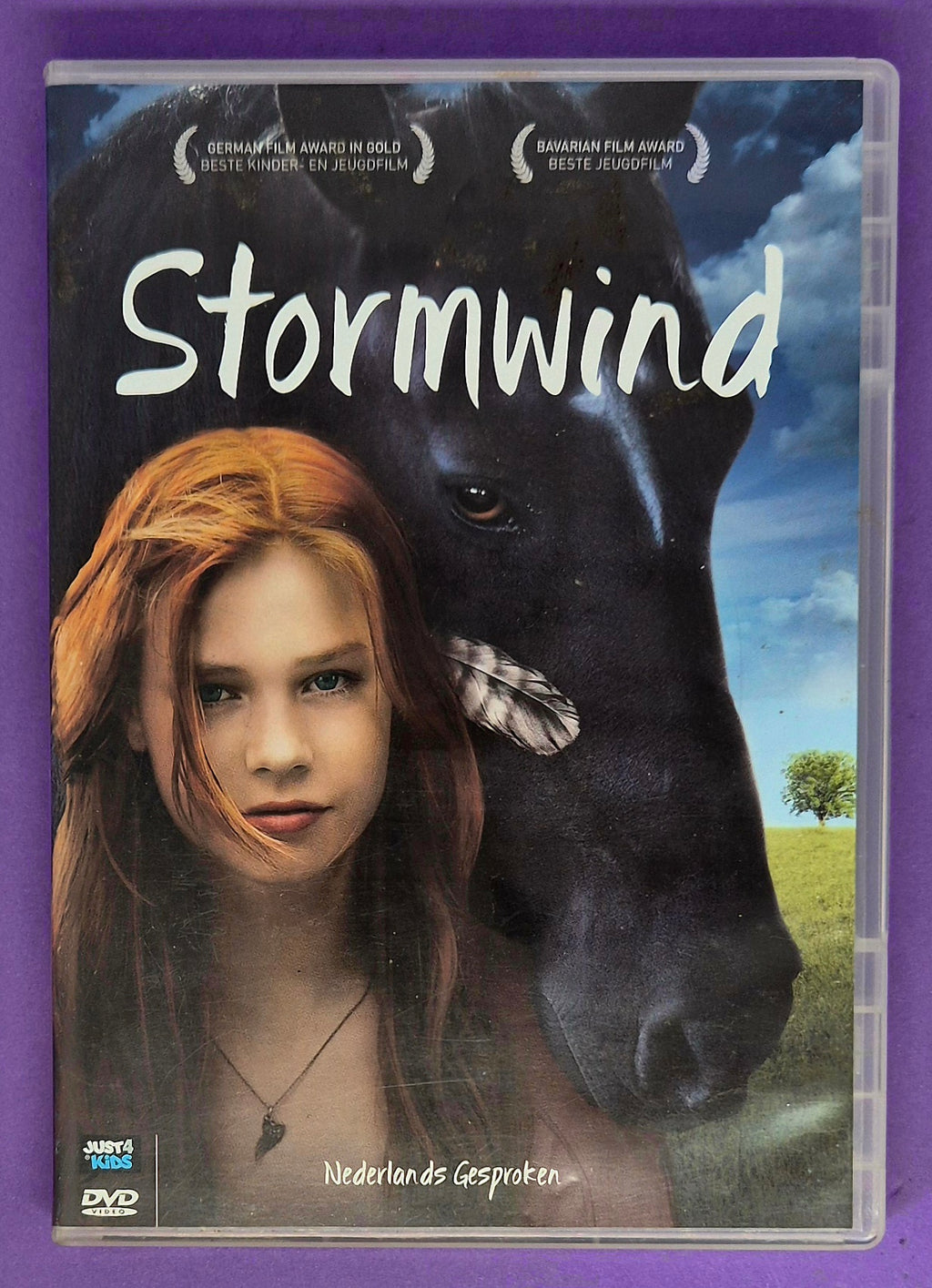 Stormwind DVD
