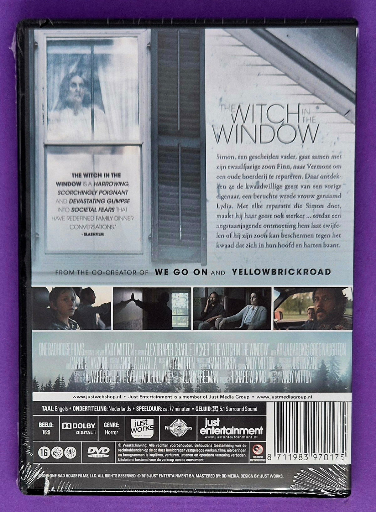 The Witch In The Window DVD