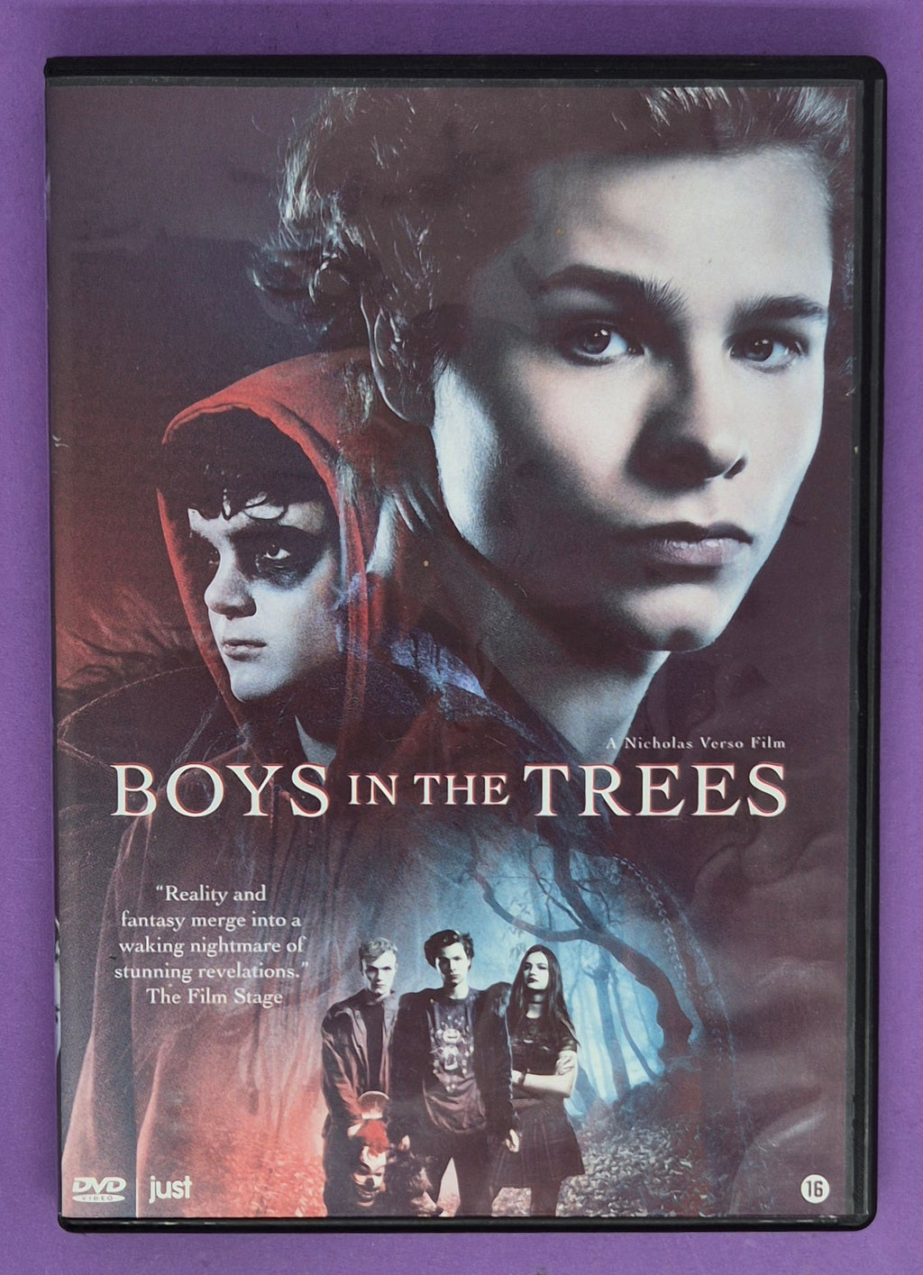 Boys In The Trees DVD