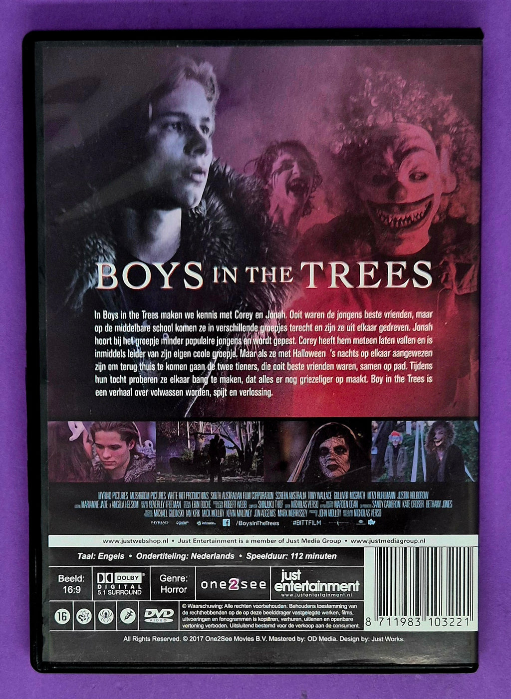 Boys In The Trees DVD